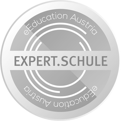 Expert+ Schule Logo Silber